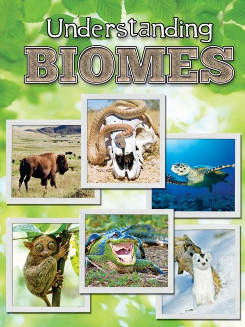 Cover of the book Understanding Biomes by Jeanne Sturm, Rourke Educational Media