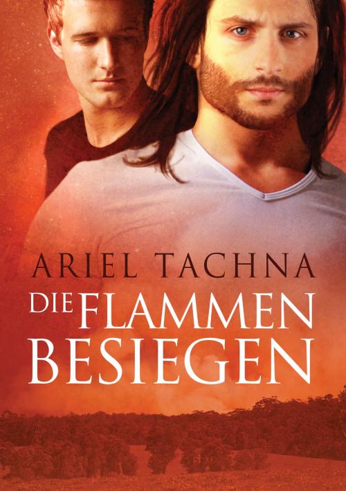 Cover of the book Die Flammen besiegen by Ariel Tachna, Dreamspinner Press