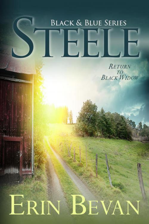 Cover of the book Steele by Erin Bevan, Erin Bevan