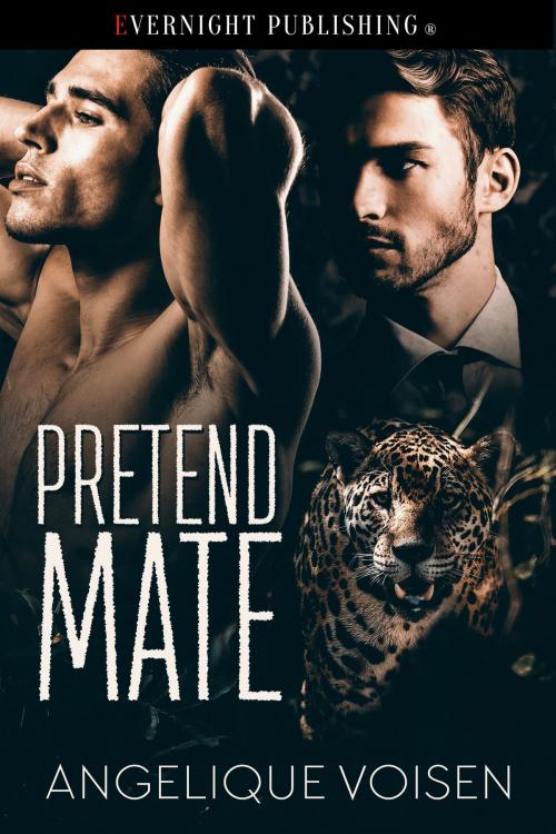Cover of the book Pretend Mate by Angelique Voisen, Evernight Publishing