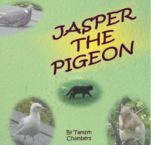 Cover of the book Jasper The Pigeon by Tamsyn Chambers, Upfront