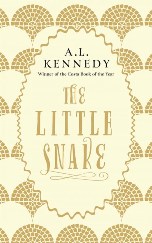Cover of the book The Little Snake by A.L. Kennedy, Canongate Books