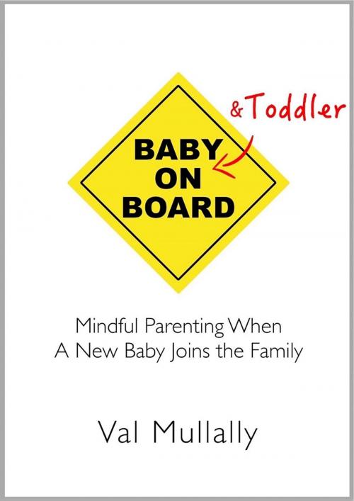 Cover of the book Baby and Toddler on Board by Val Mullally, Koemba