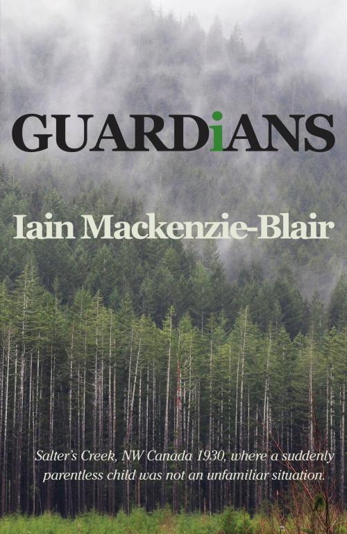 Cover of the book Guardians by Iain Mackenzie-Blair, Amolibros
