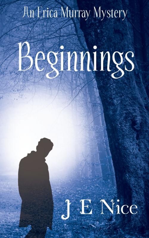 Cover of the book Beginnings by J E Nice, Write into the Woods Publishing