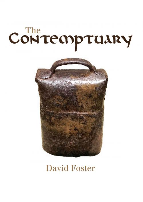 Cover of the book The Contemptuary by David Foster, Puncher & Wattmann
