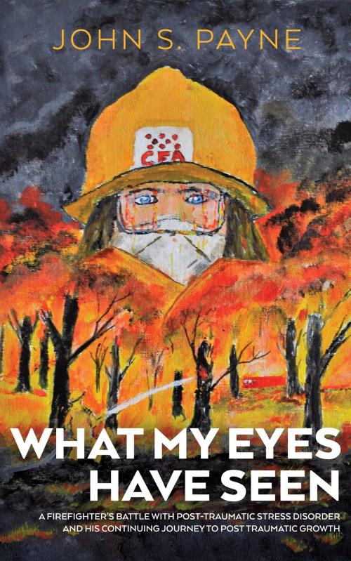 Cover of the book What My Eyes Have Seen by John Payne, MoshPit Publishing