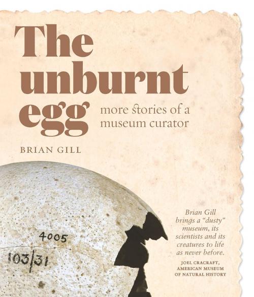 Cover of the book The Unburnt Egg by Brian Gill, Awa Press