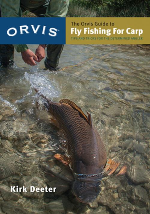 Cover of the book The Orvis Guide to Fly Fishing for Carp by Kirk Deeter, Stonefly Press