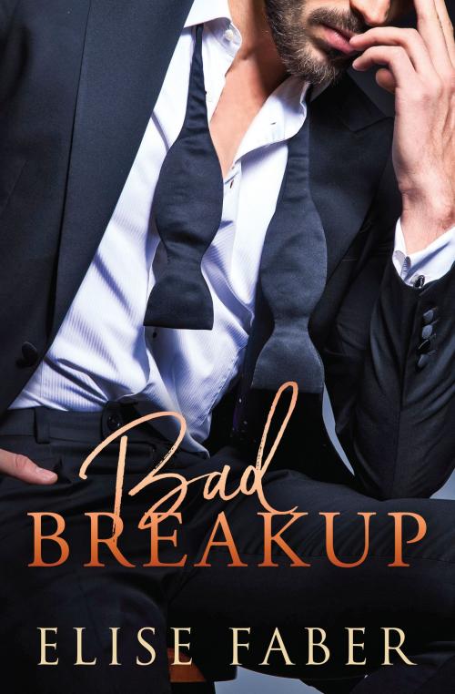 Cover of the book Bad Breakup by Elise Faber, Elise Faber