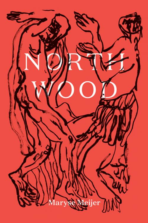Cover of the book Northwood by Maryse Meijer, Catapult