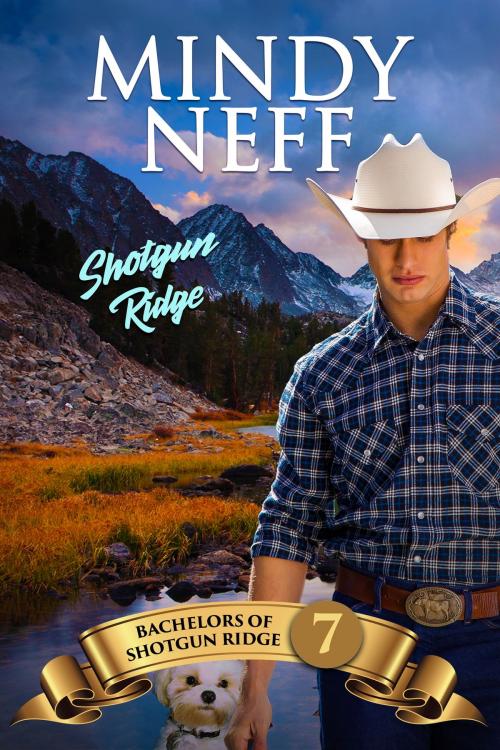 Cover of the book Shotgun Ridge by Mindy Neff, Mindy Neff