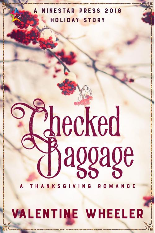 Cover of the book Checked Baggage by Valentine Wheeler, Nine Star Press