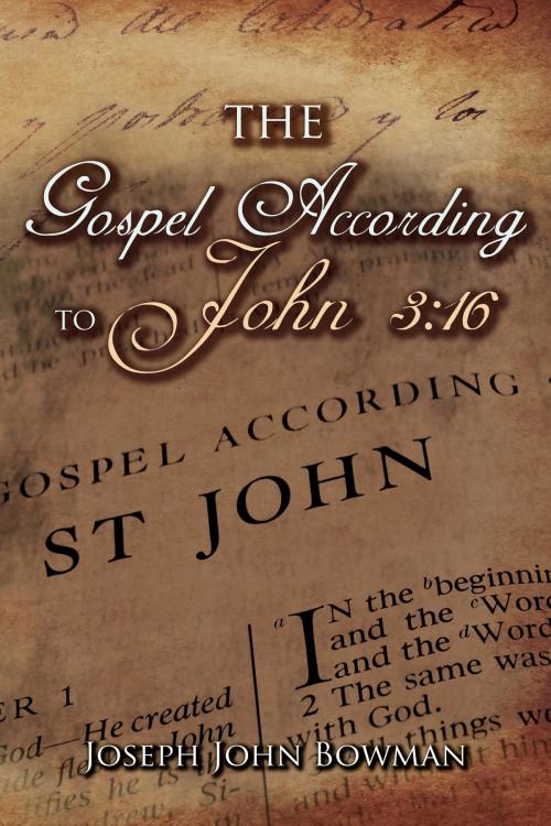Cover of the book The Gospel According to John 3 by Joseph John Bowman, Toplink Publishing, LLC