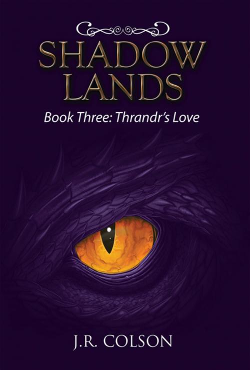Cover of the book Shadow Lands by J.R. Colson, Xlibris US