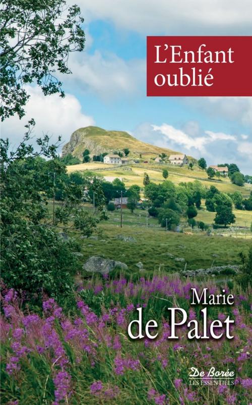 Cover of the book L'Enfant oublié by Marie de Palet, De Borée