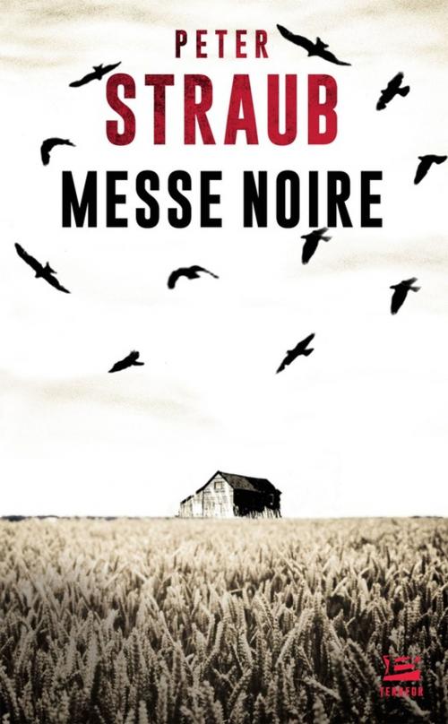 Cover of the book Messe Noire by Peter Straub, Bragelonne
