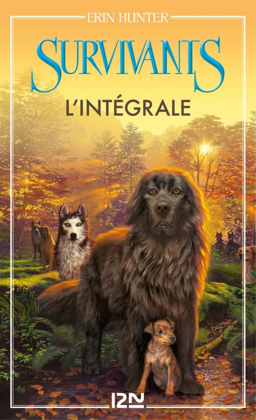 Cover of the book Survivants - cycle 1 intégrale by Erin HUNTER, Univers Poche