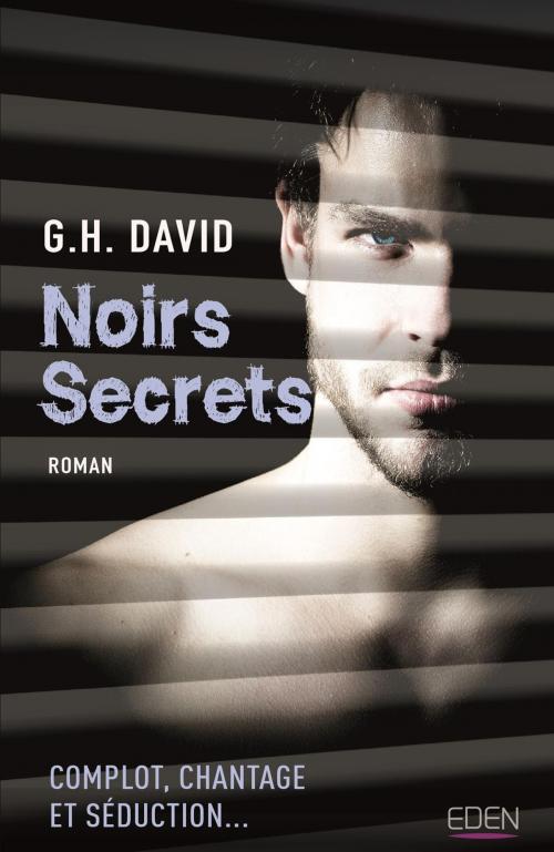 Cover of the book Noirs secrets by G.H. David, City Edition