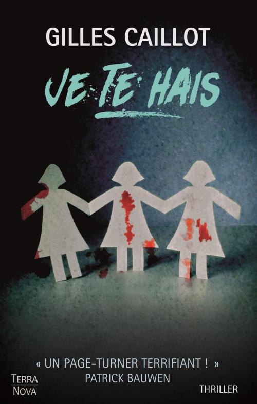 Cover of the book Je te hais by Gilles Caillot, Terra Nova