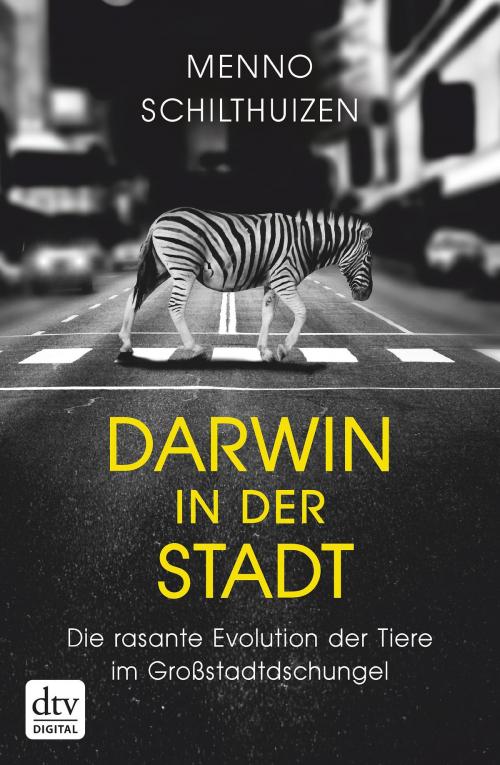 Cover of the book Darwin in der Stadt Die rasante Evolution der Tiere im Großstadtdschungel by Menno Schilthuizen, dtv Verlagsgesellschaft mbH & Co. KG