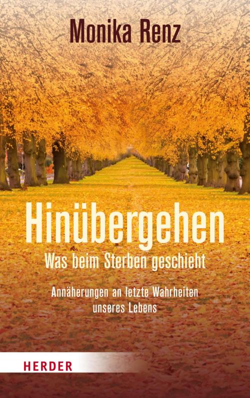 Cover of the book Hinübergehen by Monika Renz, Verlag Herder
