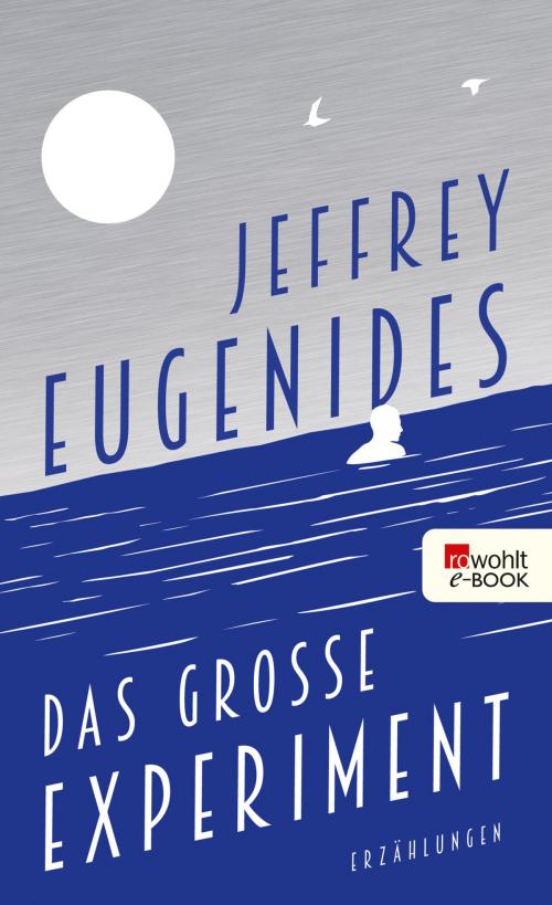 Cover of the book Das große Experiment by Jeffrey Eugenides, Rowohlt E-Book