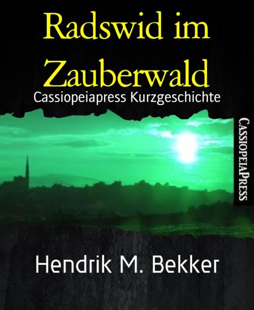 Cover of the book Radswid im Zauberwald by Hendrik M. Bekker, BookRix