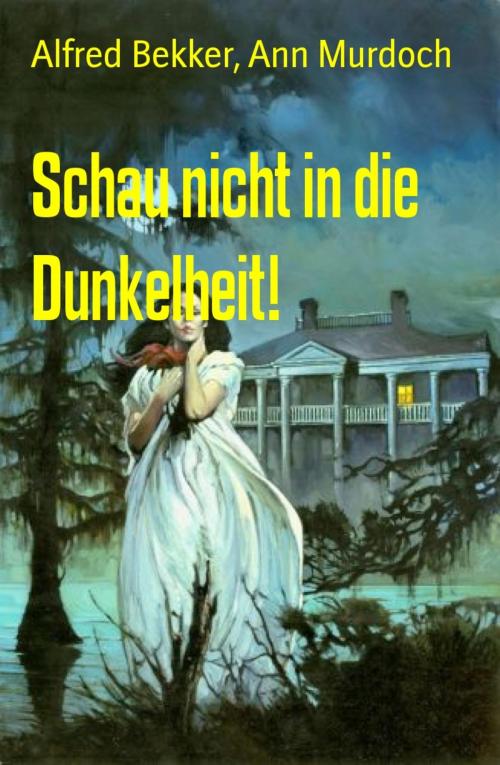Cover of the book Schau nicht in die Dunkelheit! by Alfred Bekker, Ann Murdoch, BookRix