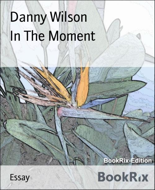Cover of the book In The Moment by Danny Wilson, BookRix