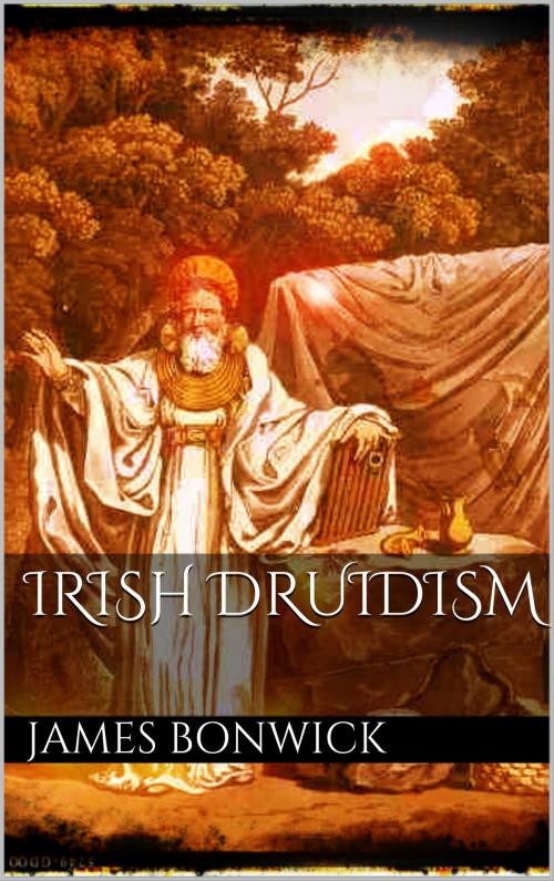 Cover of the book Irish druidism by James Bonwick, Books on Demand