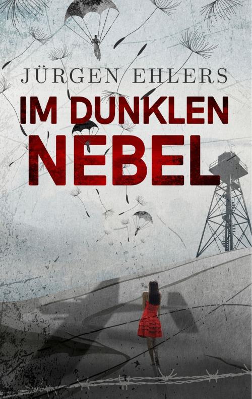 Cover of the book Im dunklen Nebel by Jürgen Ehlers, Books on Demand