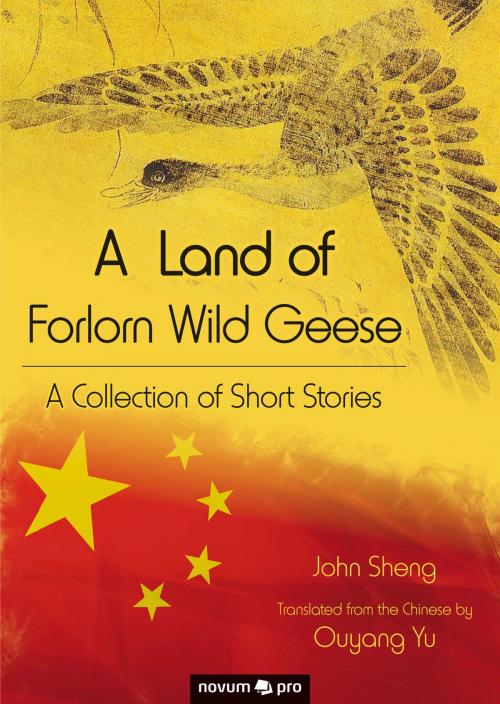 Cover of the book A Land of Forlorn Wild Geese by John Sheng, novum pro Verlag