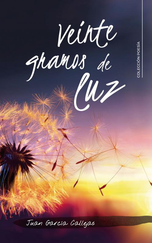 Cover of the book Veinte gramos de luz by Juan García Callejas, Penguin Random House Grupo Editorial España