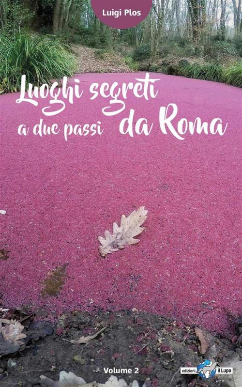 Cover of the book Luoghi segreti a due passi da Roma - Volume 2 by Luigi Plos, Youcanprint