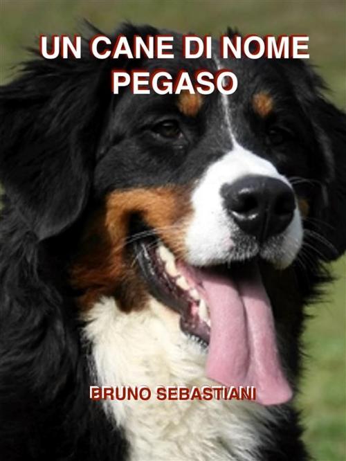 Cover of the book Un cane di nome Pegaso by Bruno Sebastiani, Bruno Sebastiani