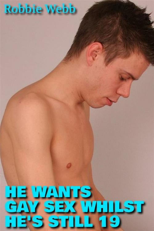 Cover of the book He Wants Gay Sex Whilst He's Still 19 by Robbie Webb, Robbie Webb