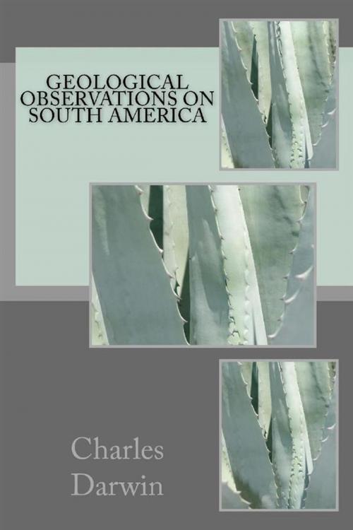 Cover of the book Geological Observations on South America by Charles Darwin, anamsaleem
