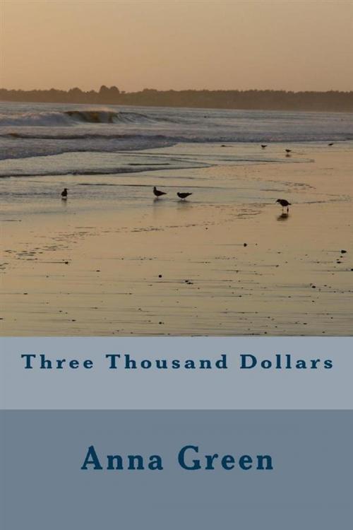 Cover of the book Three Thousand Dollars by Anna Cathrine Green, anamsaleem