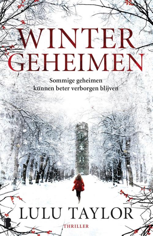 Cover of the book Wintergeheimen by Lulu Taylor, Meulenhoff Boekerij B.V.