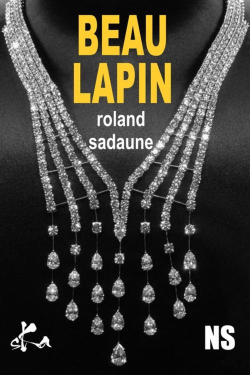 Cover of the book Beau lapin by Roland Sadaune, SKA