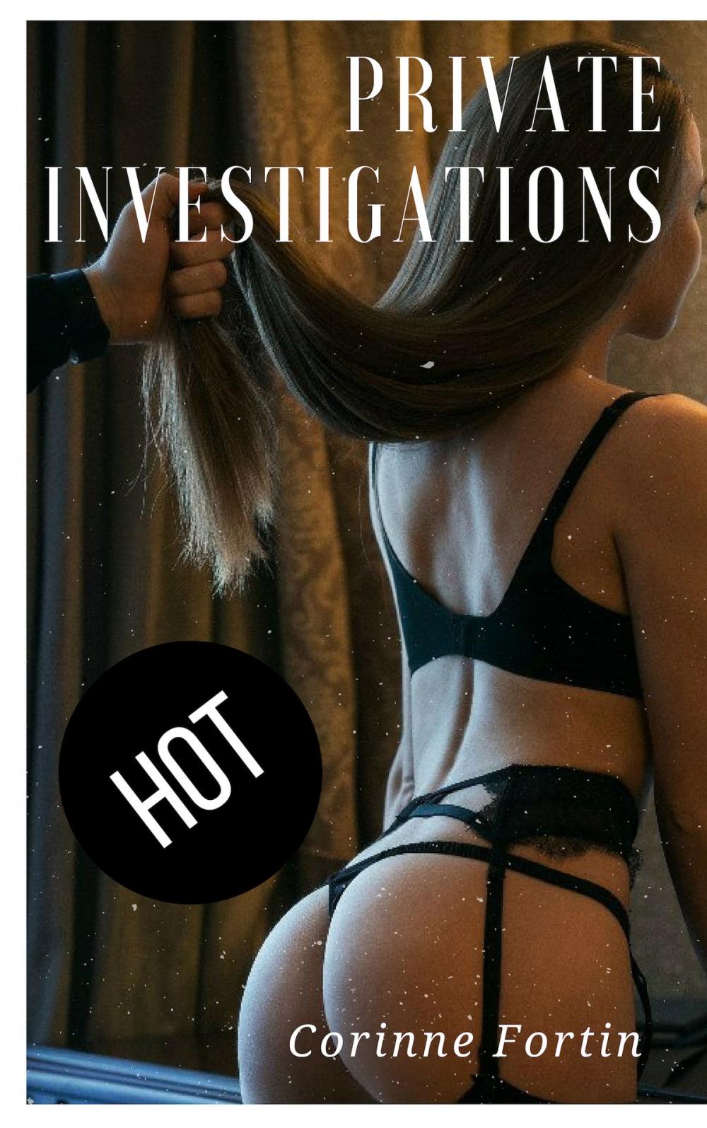 Big bigCover of Private Investigations