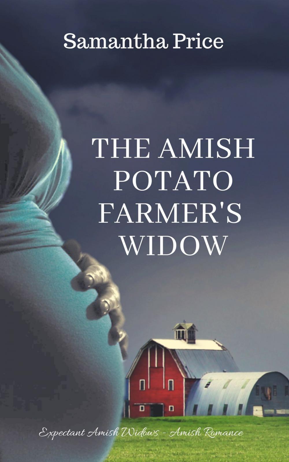 Big bigCover of The Amish Potato Farmer's Widow