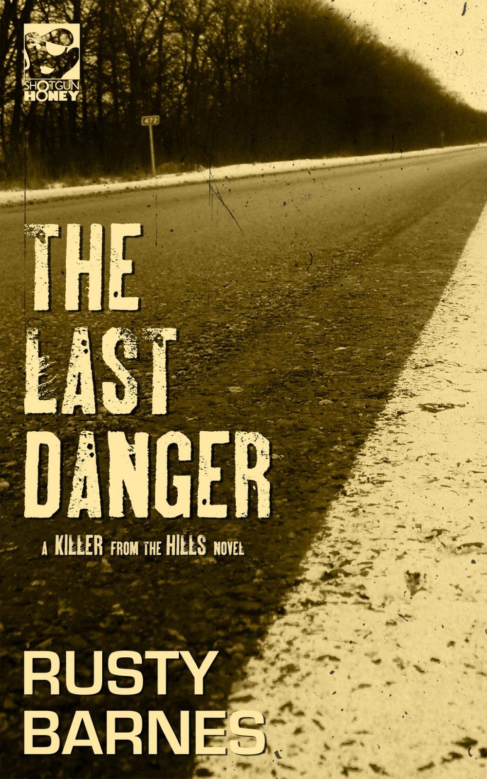 Big bigCover of The Last Danger
