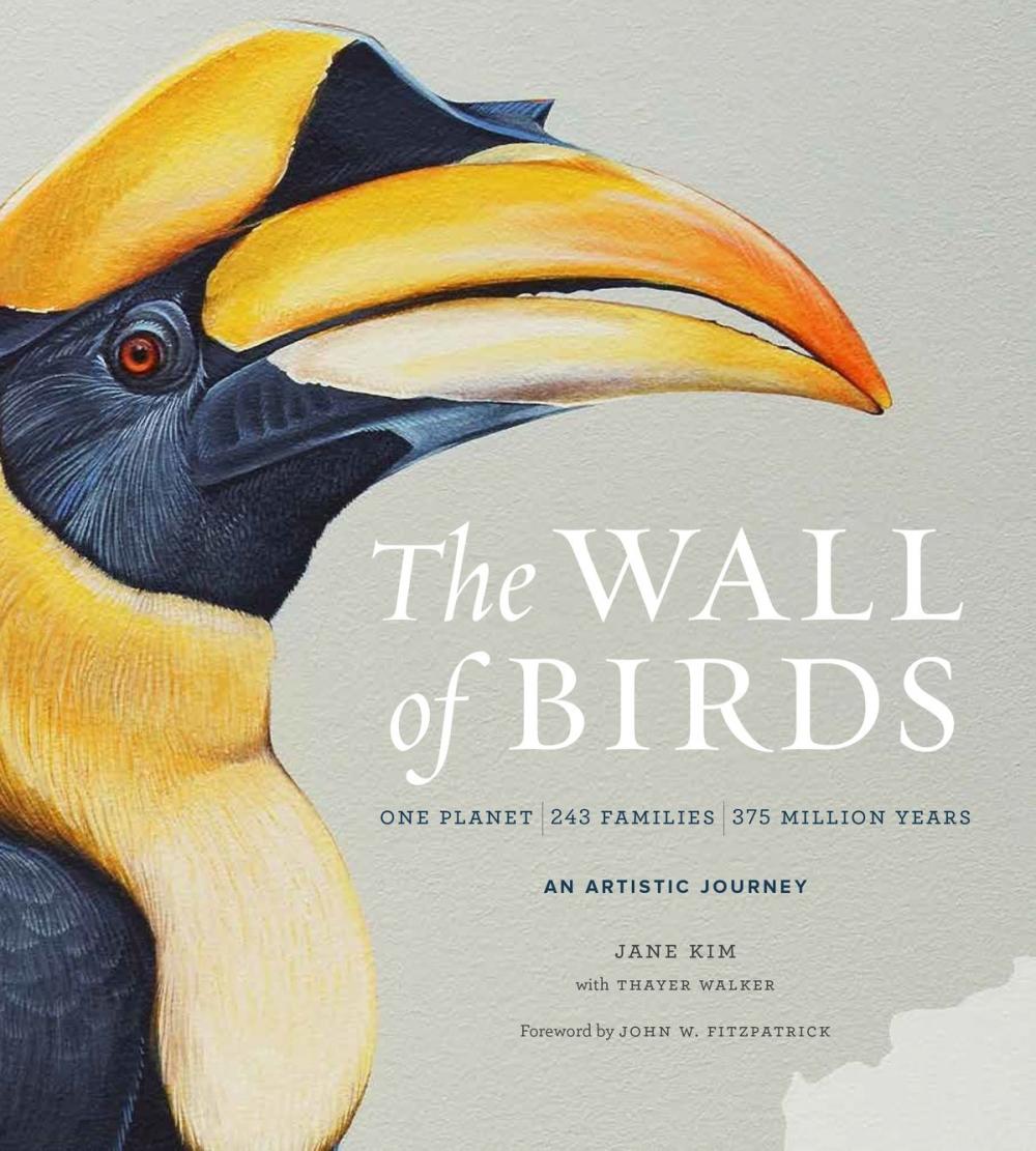 Big bigCover of The Wall of Birds