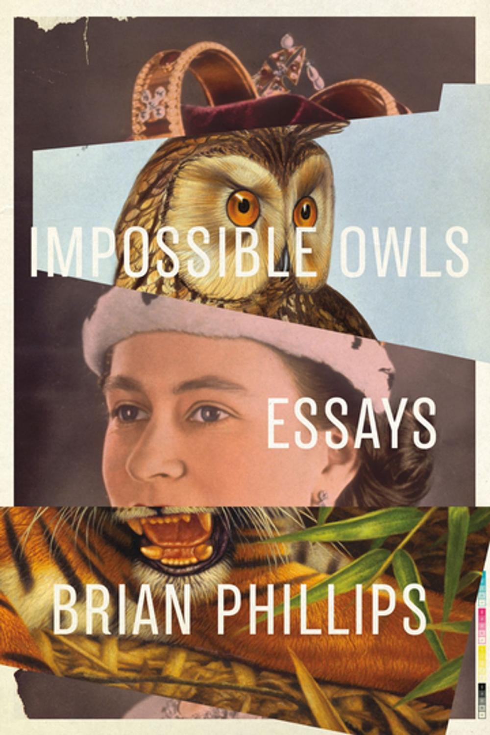 Big bigCover of Impossible Owls
