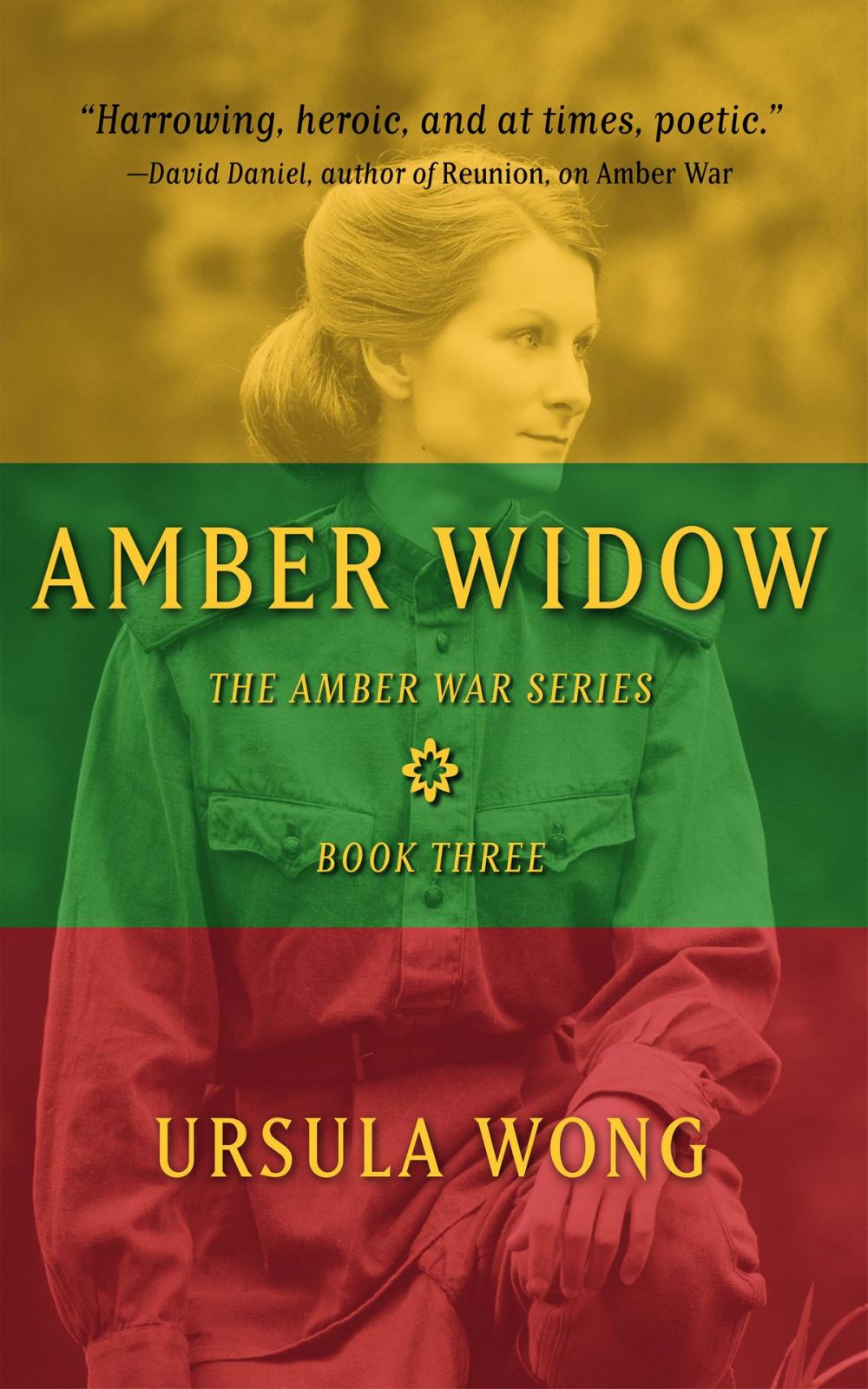 Big bigCover of Amber Widow