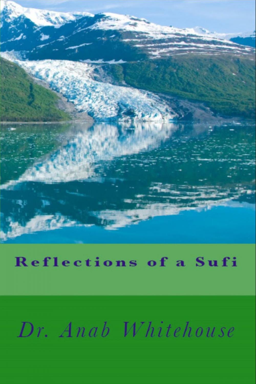 Big bigCover of Reflections of a Sufi