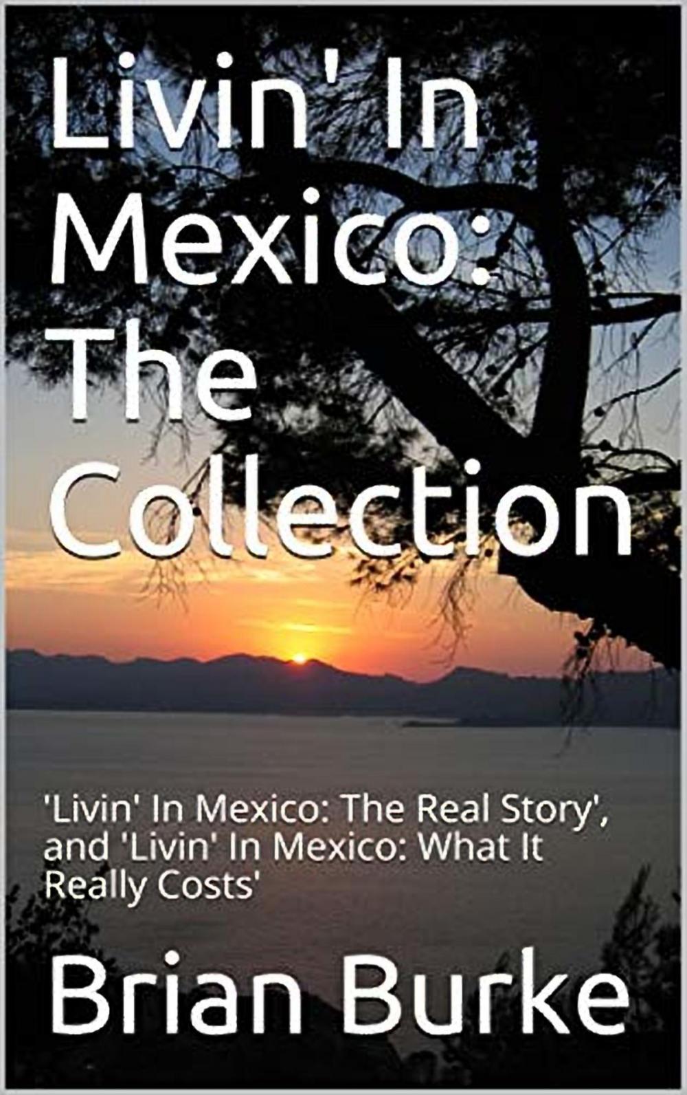 Big bigCover of Livin' In Mexico: The Collection: 'Livin' In Mexico: The Real Story', and 'Livin' In Mexico: What It Really Costs'