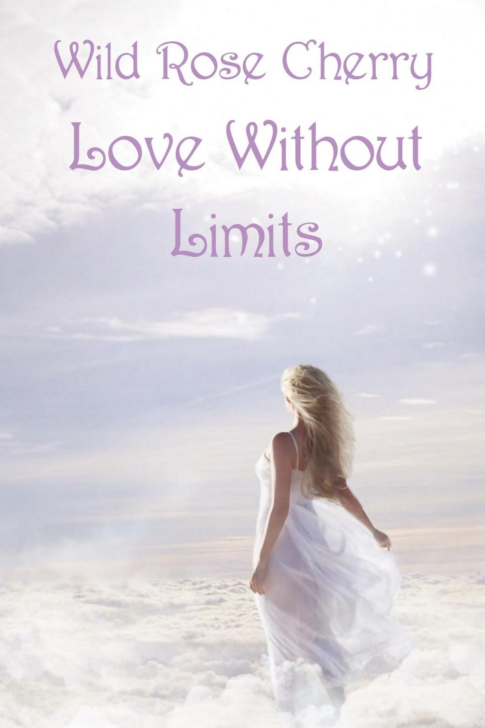 Big bigCover of Love Without Limits